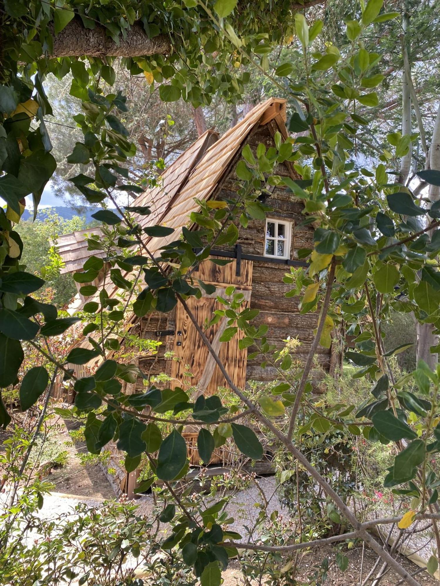 Mas Del Flor Bed and Breakfast Villelongue-dels-Monts Værelse billede